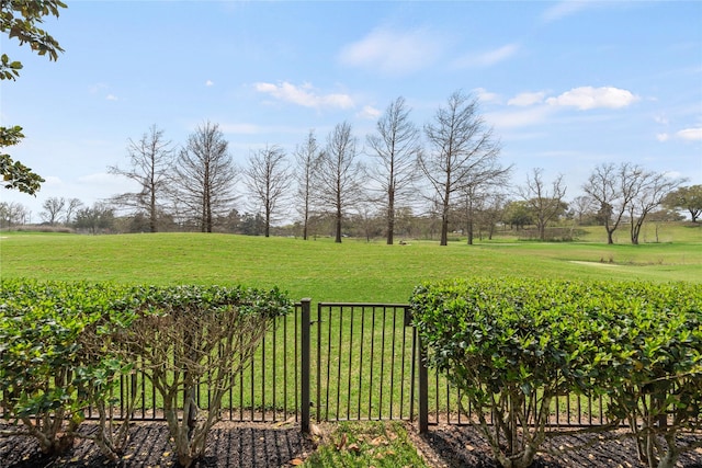 3427 Powell Way, Missouri City, TX 77459 - view of yard