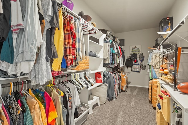 22078 Sun Haven Ln, Porter, TX 77365 - spacious closet with carpet flooring