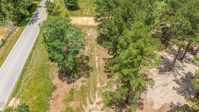 13907 Willis Waukegan Rd, Conroe, TX 77303 - photo 3