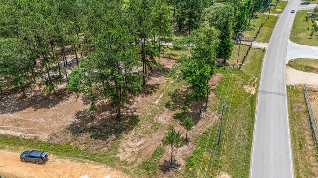 13907 Willis Waukegan Rd, Conroe, TX 77303 - photo 4