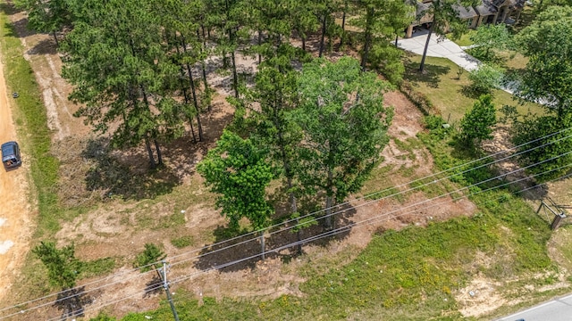 13907 Willis Waukegan Rd, Conroe, TX 77303 - photo 6