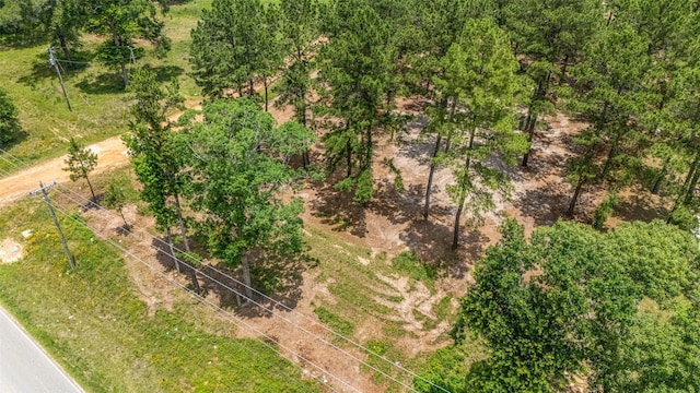 13907 Willis Waukegan Rd, Conroe, TX 77303 - photo 7