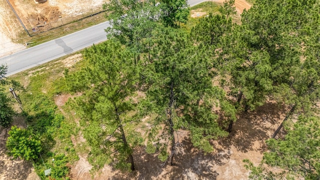 13907 Willis Waukegan Rd, Conroe, TX 77303 - photo 8