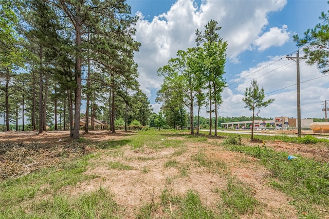 13907 Willis Waukegan Rd, Conroe, TX 77303 - photo 9