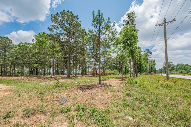 13907 Willis Waukegan Rd, Conroe, TX 77303 - photo 10