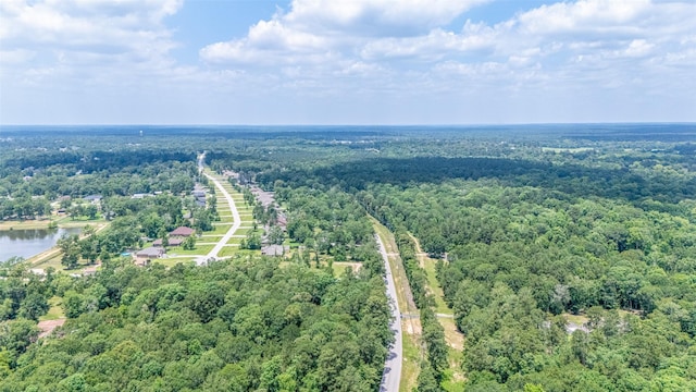 13907 Willis Waukegan Rd, Conroe, TX 77303 - photo 15