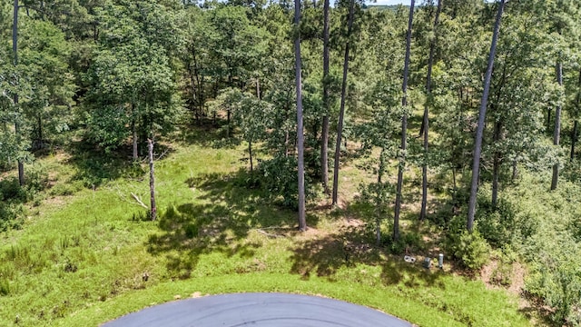 4468 Sayde Ridge Dr, Montgomery, TX 77316