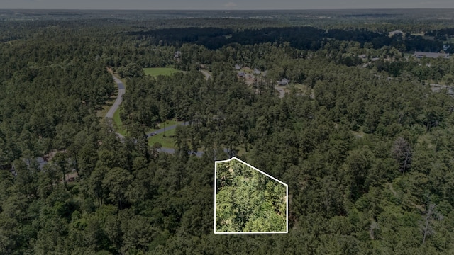 4468 Sayde Ridge Dr, Montgomery, TX 77316