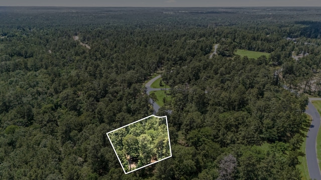 4468 Sayde Ridge Dr, Montgomery, TX 77316