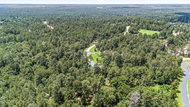4468 Sayde Ridge Dr, Montgomery, TX 77316