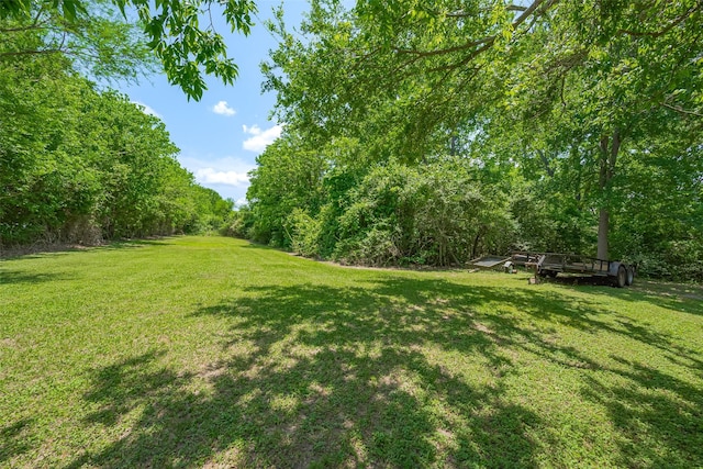 16325 Senkel Rd, East Bernard, TX 77435 - view of grassy yard with a wooded view