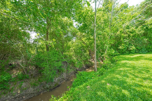 16325 Senkel Rd, East Bernard, TX 77435 - view of undeveloped land