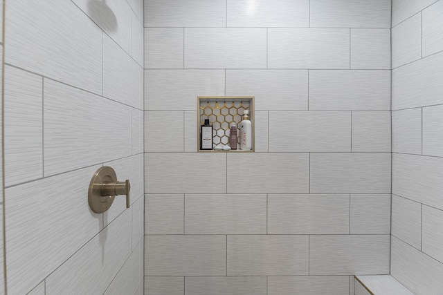 4439 W Bayshore Rd, Anahuac, TX 77514 - bathroom view of tiled shower