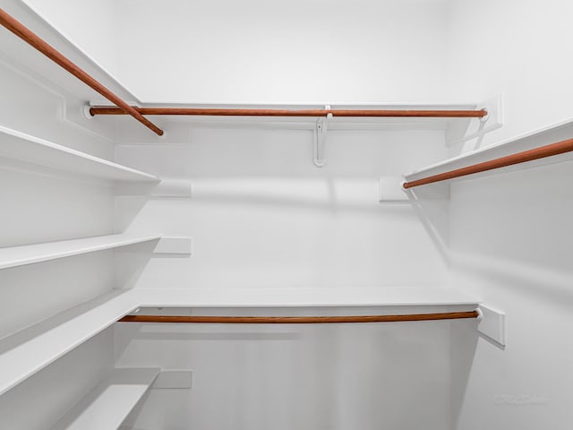 20647 Laurel Lock Dr, Katy, TX 77450 - view of walk in closet