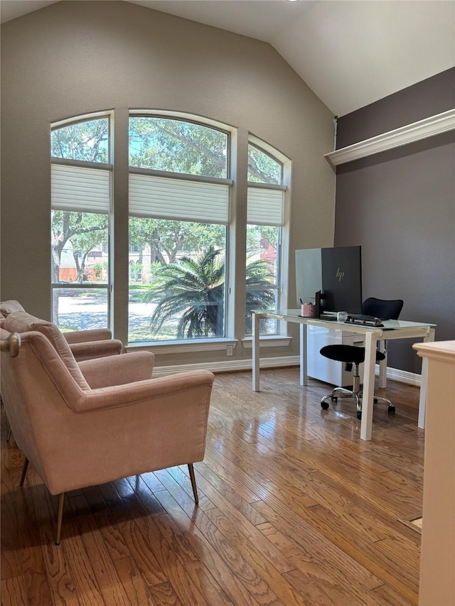 2331 Scottsdale Ct, League City, TX 77573 - office area with vaulted ceiling, healthy amount of natural light, and hardwood / wood-style floors