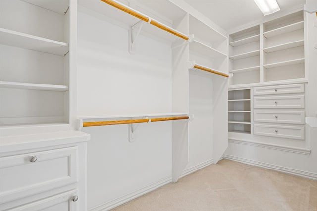 spacious closet featuring light colored carpet