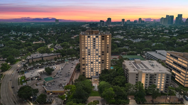 651 Bering Dr Unit 1406, Houston, TX 77057 - view of urban area