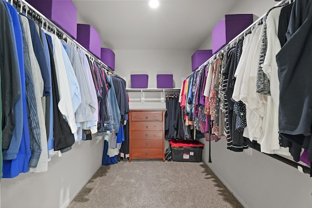 23522 Messina Harbor Dr, Katy, TX 77493 - walk in closet with carpet flooring