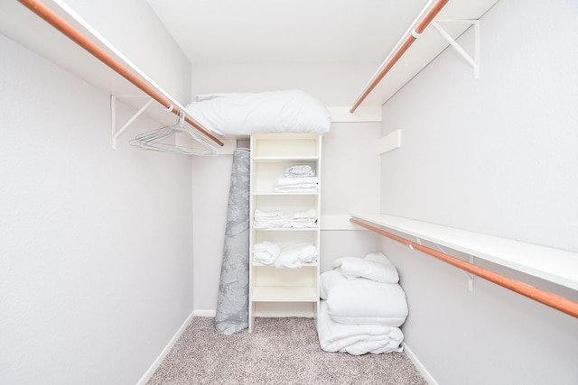 18143 Bal Harbour Dr, Houston, TX 77058 - spacious closet featuring carpet
