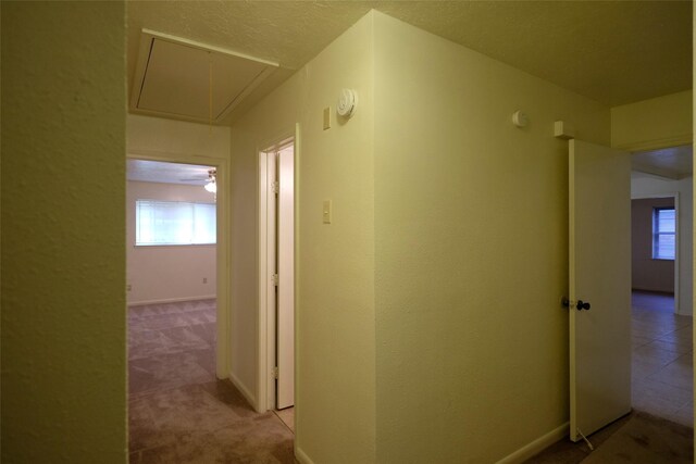 12323 Bexley Dr, Houston, TX 77099 - hall featuring attic access, carpet flooring, and baseboards