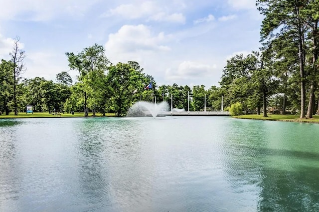 2019 Foxtail Creek Ct, Crosby, TX 77532 - water view featuring a tree filled landscape