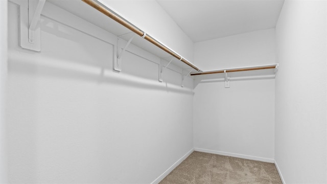 321 Lippizan Dr, Alvin, TX 77511 - walk in closet with light carpet