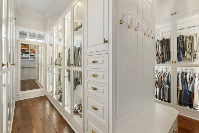 spacious closet featuring dark wood-style flooring and french doors