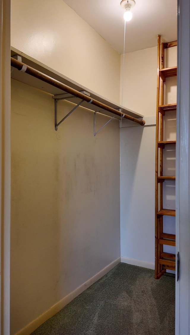 13424 Castilian Dr Unit 113, Houston, TX 77015 - spacious closet with dark colored carpet