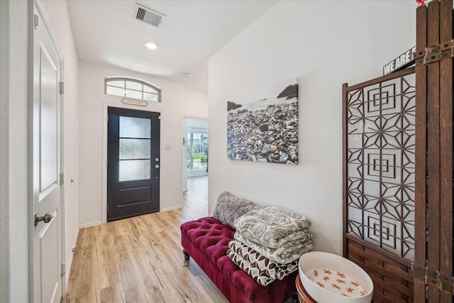 entrance foyer featuring wood finished floors