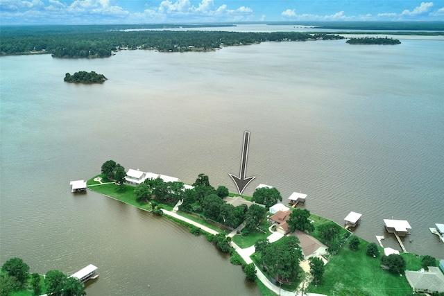 1378 Landing Way, Trinity, TX 75862 - aerial view of property's location with a nearby body of water