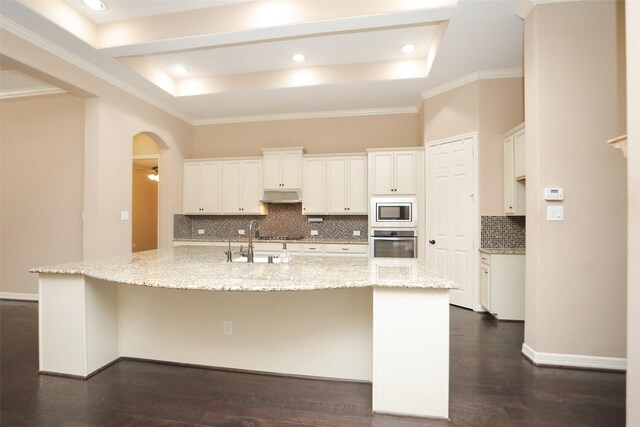 506 Chirping Sparrow Ct, Pinehurst, TX 77362 - kitchen featuring stainless steel appliances, a tray ceiling, under cabinet range hood, a sink, and recessed lighting