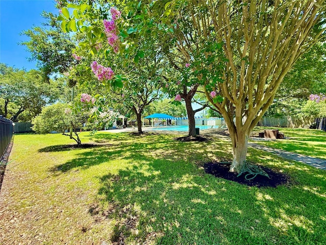 view of yard with an outdoor pool