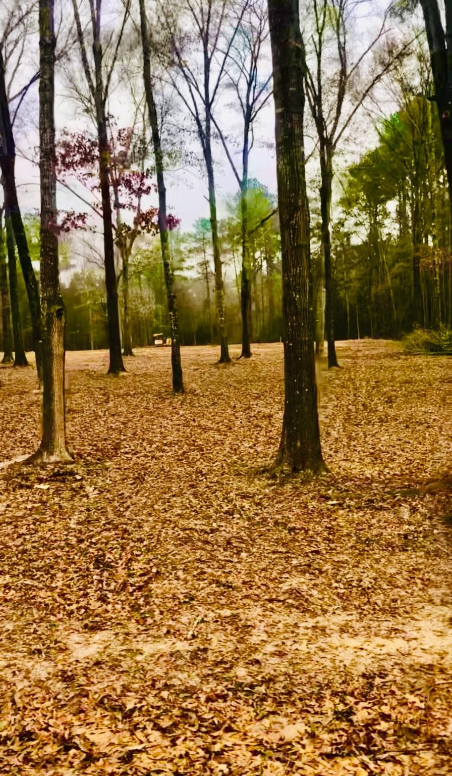 27 Gourd Creek Dr, Huntsville, TX 77340 - photo 2