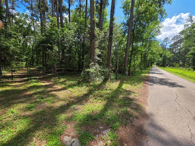 TBD Medley, New Waverly, TX 77378 - photo 5