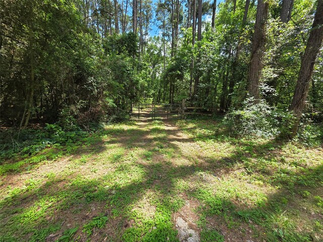 TBD Medley, New Waverly, TX 77378 - photo 15