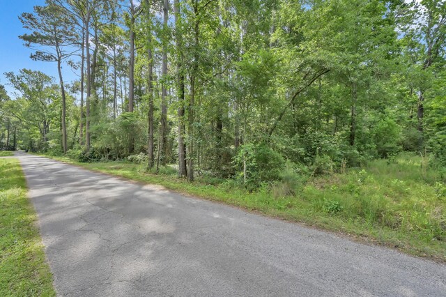 TBD Medley, New Waverly, TX 77378 - photo 2