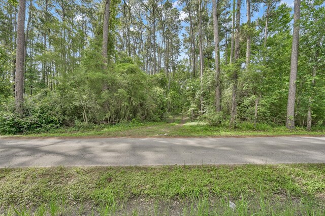 TBD Medley, New Waverly, TX 77378 - photo 4
