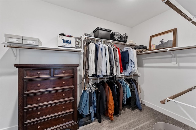 770 Dogberry Ct, Conroe, TX 77304 - spacious closet featuring carpet