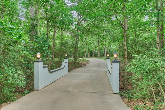15471 Castlebrook Ct, Montgomery, TX 77316 - view of community with a forest view