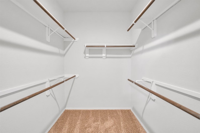 11355 Dawn Beach Ln, Conroe, TX 77304 - spacious closet featuring carpet floors