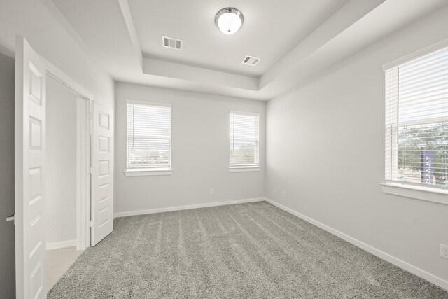 2906 Park Hill Ln, Stafford, TX 77477 - unfurnished bedroom with a raised ceiling, multiple windows, and carpet flooring