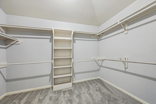 1056 Inverness Cv, Dickinson, TX 77539 - walk in closet with carpet