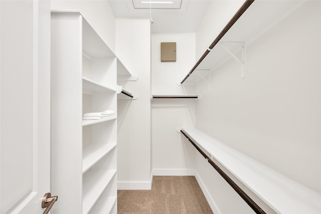 34 N Hutcheson St, Houston, TX 77003 - walk in closet featuring light colored carpet