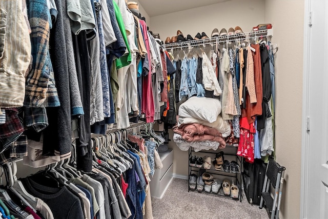 635 W Linnwood Dr, Woodbranch, TX 77357 - walk in closet featuring carpet flooring