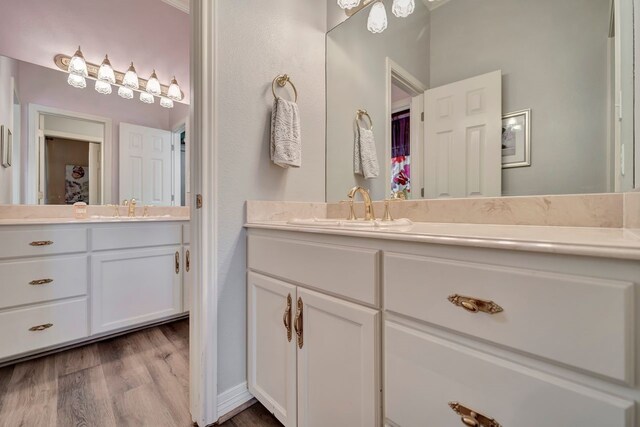 206 Greenbriar Ave, Friendswood, TX 77546 - bathroom featuring wood finished floors and vanity