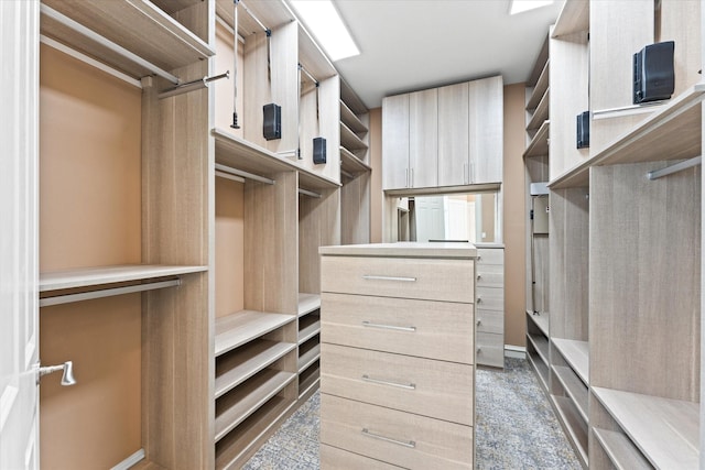 5206 Stamper Way, Houston, TX 77056 - view of spacious closet
