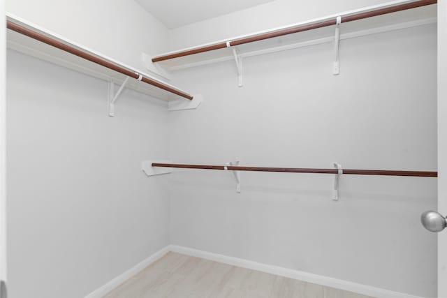 14502 Windmill Meadows Ct, Houston, TX 77082 - view of walk in closet