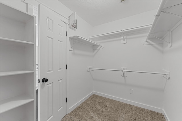 spacious closet featuring carpet flooring