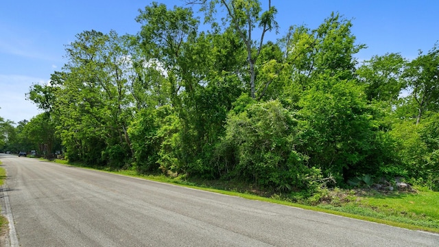 0 Christian Dr, Houston, TX 77044