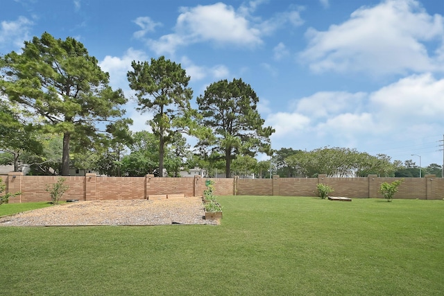 22802 Pennyrile Ln, Katy, TX 77450 - view of yard